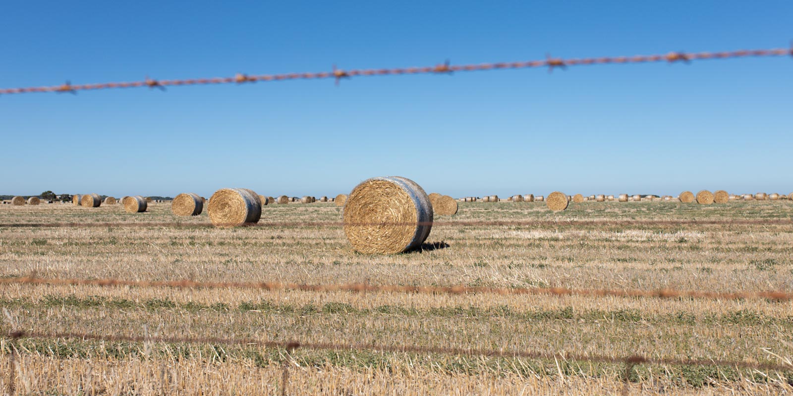 Farms