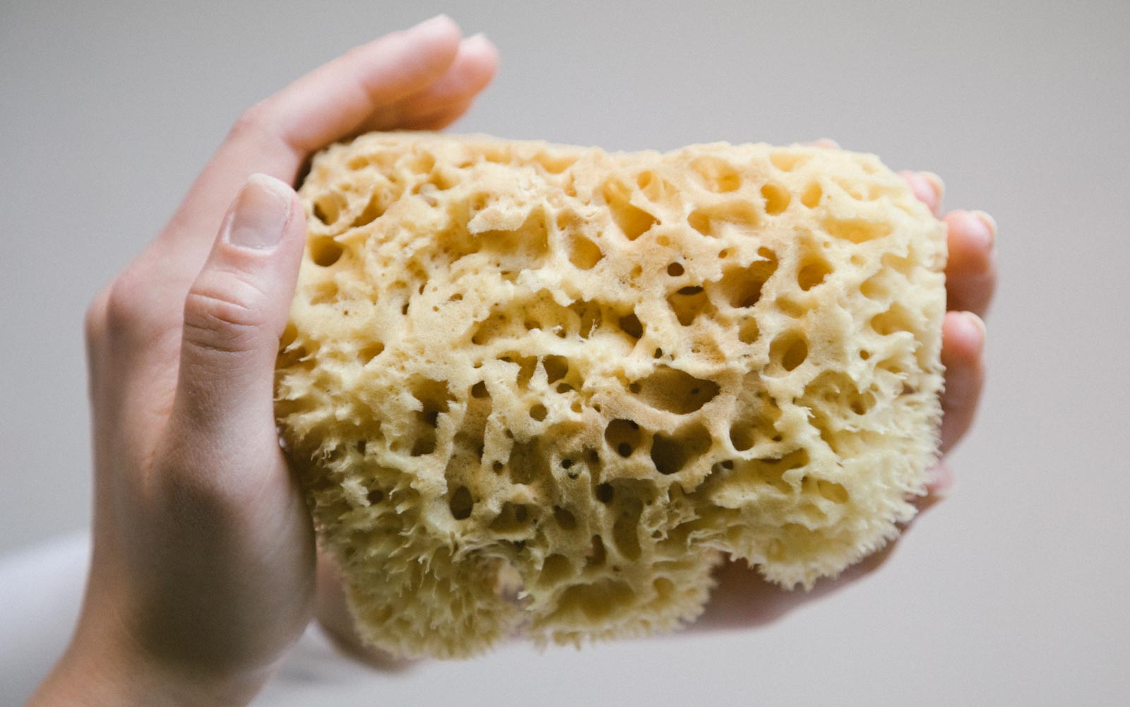 Buy natural sea sponges for your body online